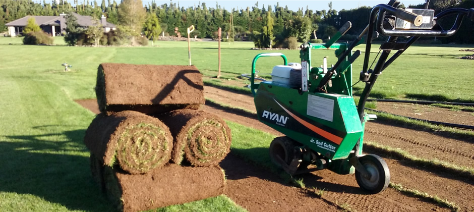 turf grass cutting